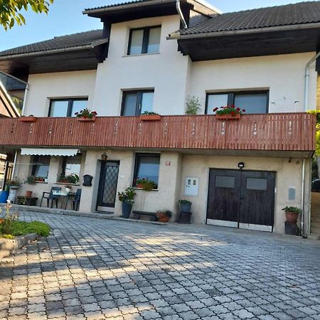 Apartment Katrin Zirovnica Exteriér fotografie